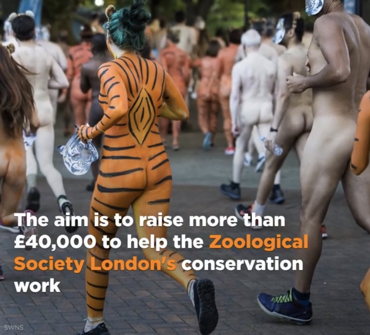 Hundreds Streak Around London Zoo To Support Tigers